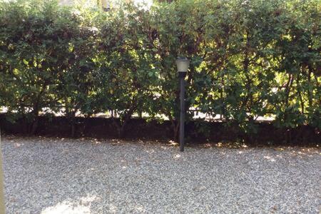 Residence Apuamare ピエトラサンタ エクステリア 写真